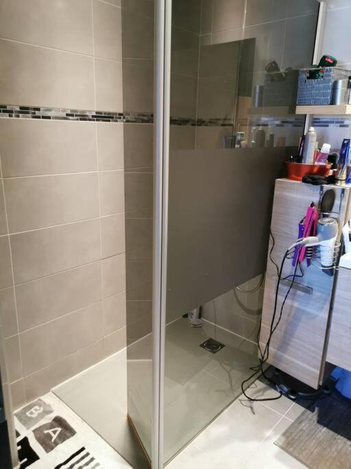Appartement Calme Proche Du Centre Annecy Eksteriør billede